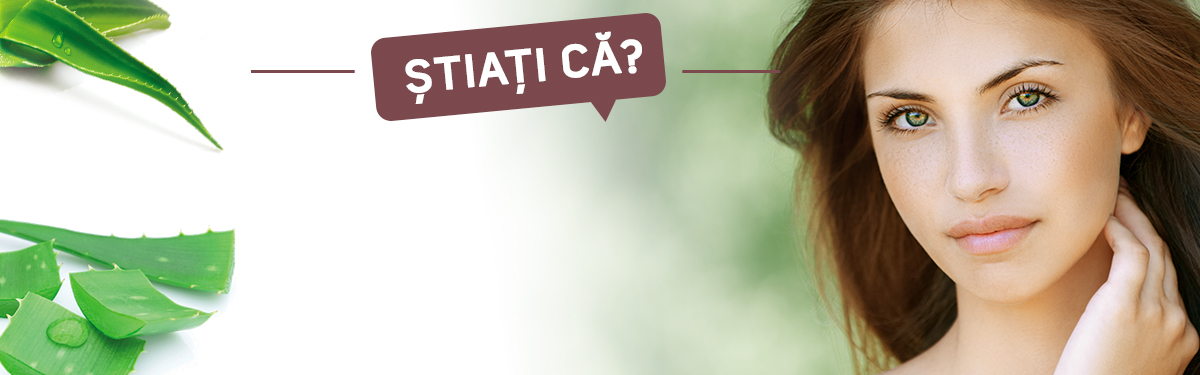 Aloe Vera acționează împotriva îmbătrânirii premature a pielii